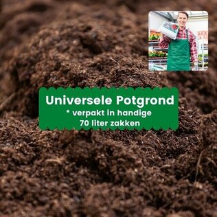 Universele potgrond