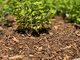 Mulch