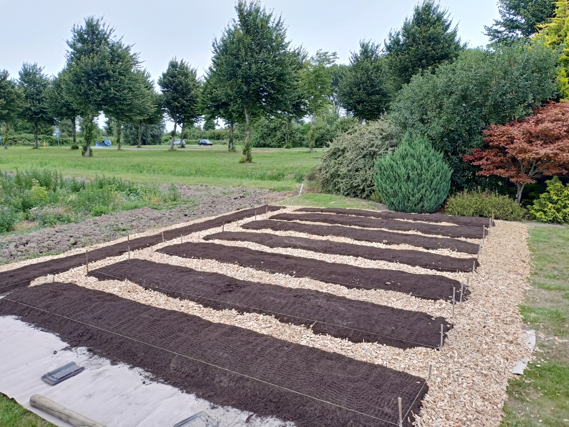 puzzel Immuniteit Goed doen Houtsnippers in de moestuin - Houtsnippers.nl