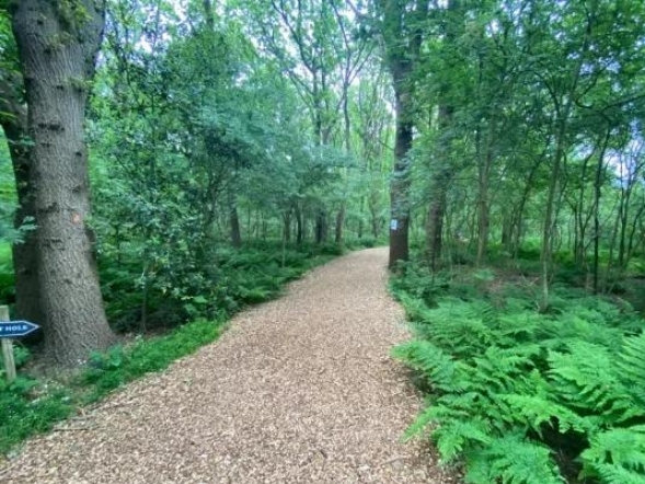 Natuurlijk pad van houtsnippers op een golfbaan