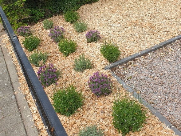 Houtsnippers premium