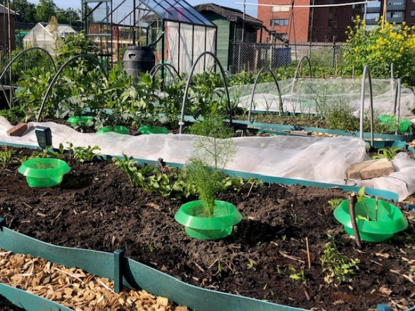 Moestuin met houtsnippers premium