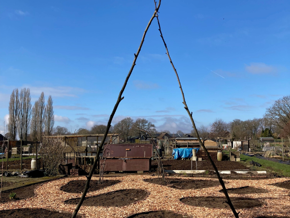 Houtsnippers premium