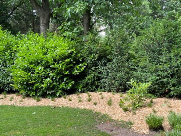 Houtsnippers Premium in de tuin